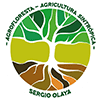 Curso Agrofloresta